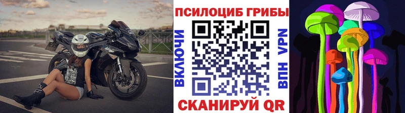 купить   Волчанск  Галлюциногенные грибы Cubensis 